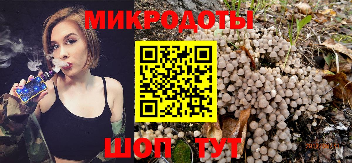 Галлюциногенные грибы MAGIC MUSHROOMS  Вход с VPN  Керчь  Галлюциногенные грибы мухоморы 